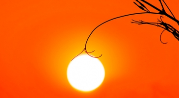 ASEAN Member States to present a united voice at COP22 on shared vision to adapt agriculture to climate change